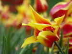 PICT0020