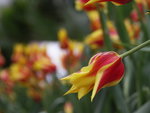 PICT0022