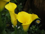 PICT0026
