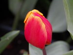 PICT0035