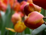 PICT0036