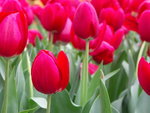 PICT0039