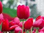 PICT0040r