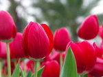 PICT0041r
