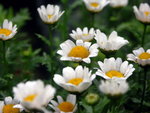 PICT0044r