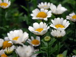 PICT0045r