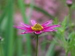 PICT0047