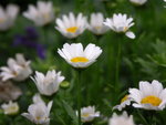 PICT0054