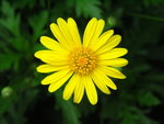 PICT0070r