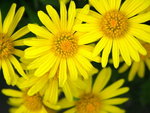 PICT0072r