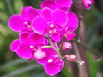 PICT0073