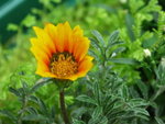 PICT0074