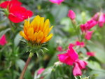 PICT0077