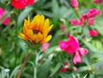 PICT0078