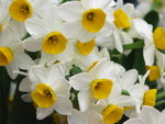 PICT0079