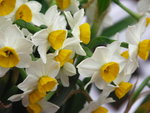 PICT0080