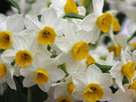 PICT0081