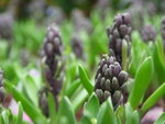 PICT0085