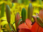 PICT0089