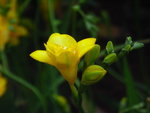 PICT0092