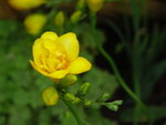 PICT0094