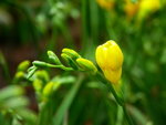 PICT0095