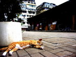 PICT0022r2