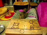PICT0004