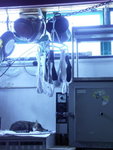 PICT0007