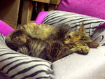 PICT0021