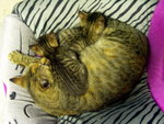 PICT0023