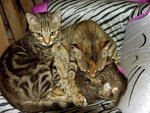 PICT0031