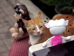 PICT0050r