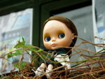 PICT0086
