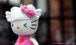 PICT0110sC