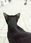 PICT0166c