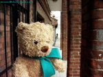 PICT0169R
