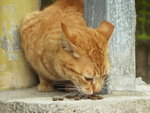 PICT0003