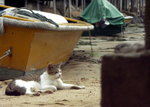 PICT0020r