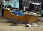 PICT0021r