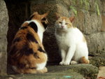 PICT0022