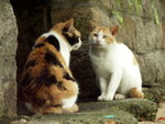 PICT0023