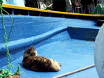 PICT0032r