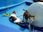 PICT0033R