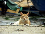 PICT0047r
