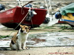 PICT0057r