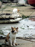 PICT0058r