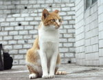 PICT0080