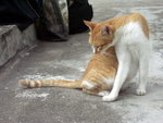 PICT0089