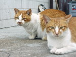 PICT0119R
